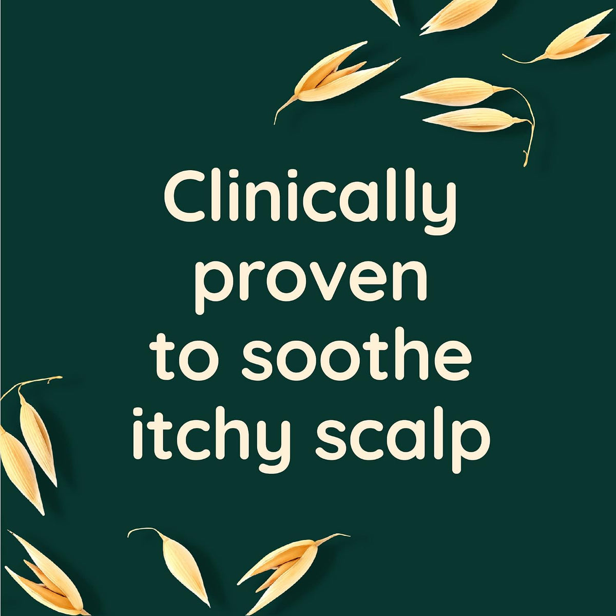 Scalp Soothing Haircare Colour Protect Conditioner, Blackberry & Quinoa Blend, for Colour Treated Hair, Soothes Dry, Itchy & Flaky Scalp, Clinically Proven, Sulfate Free, 300Ml