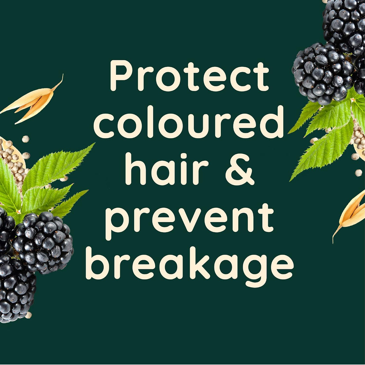 Scalp Soothing Haircare Colour Protect Conditioner, Blackberry & Quinoa Blend, for Colour Treated Hair, Soothes Dry, Itchy & Flaky Scalp, Clinically Proven, Sulfate Free, 300Ml